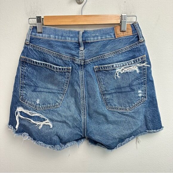 AE 90’s Boyfriend Short Size 2 High Rise Distressed Denim - Picture 4 of 7